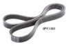 ASHIKA 112-5PK1060 V-Ribbed Belts